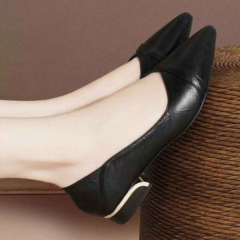 

2022 New Single Shoes Women's Heels Shallow Mouth Pointed Toe Single Shoes Low Heel Plus Size Women's Shoes