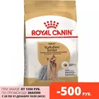 Royal Canin Yorkshire Terrier Adult для собак породы Йоркширский терьер от 10 месяцев, 3 кг