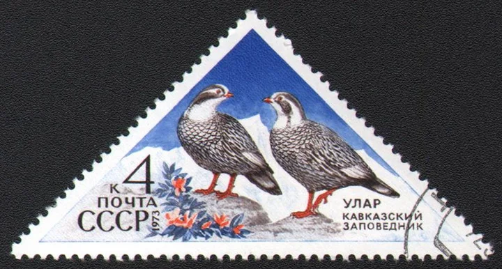 

1Pcs/Set USSR CCCP Post Stamps 1973 Triangle Natural Reserve Used Post Marked Postage Stamps for Collecting