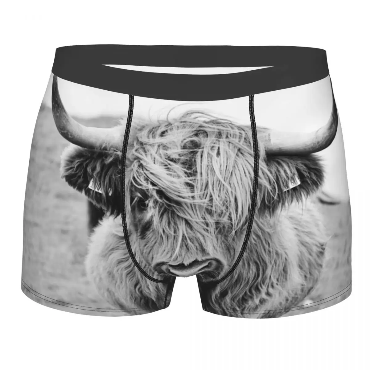 

Male Panties Men's Underwear Boxer Portrait Of A Highland Cow Underpants Comfortable Shorts