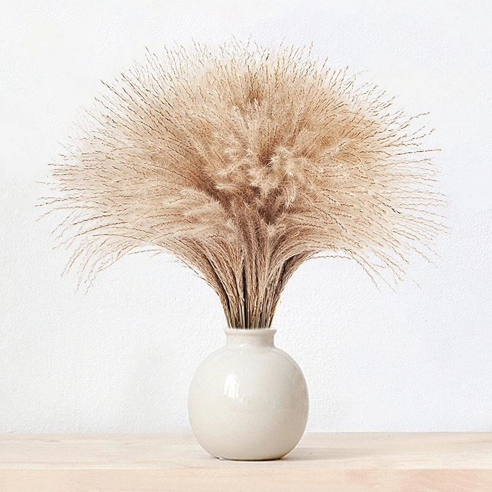 

60Pcs Natural Pampas Grass Fluffy Dry Small Reeds Flowers Bouquet Boho Living Room Decoration Wedding Party Grass Branches Decor