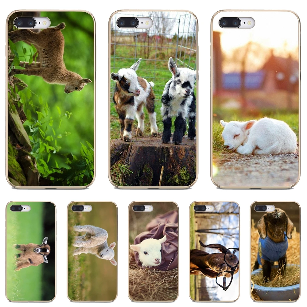For Xiaomi Pocophone iPod Touch 6 5 F1 For Samsung Galaxy Grand Core Prime Silicone Covers The-Cutest-Baby-Pygmy-Goat-Wallpaper