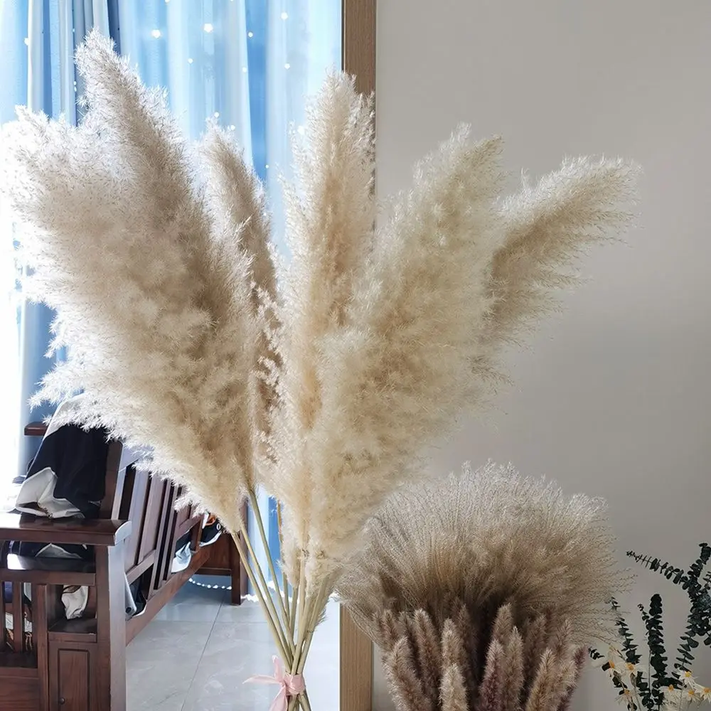 

55cm Pampas Grass Branches for Vase Fluffy Dried Flower Arrangement Decoration for Wedding Natural Dried Plants Flowers Bouquet