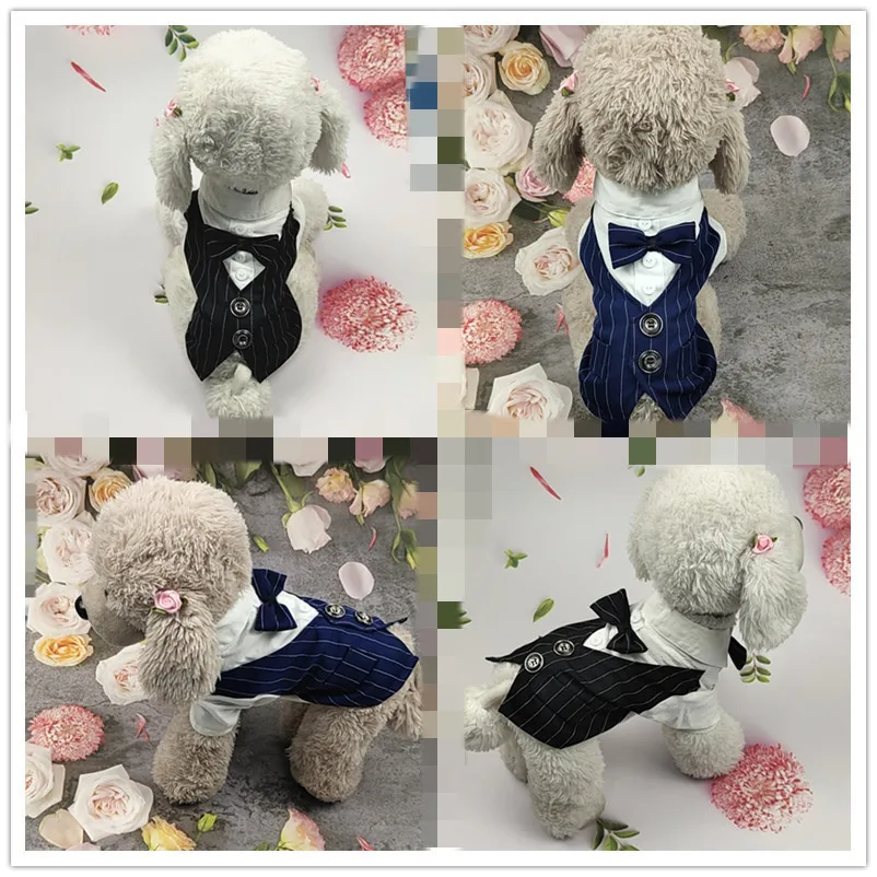 

New Dog Cat Suit Small Dress Summer Thin Teddy Shirt Suit Wedding Dress Cat Pet Clothes Pet Supplies