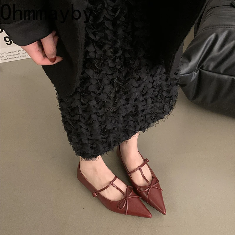2024 весенне-осенняя женская обувь Мэри Джейн модная офисная с острым носком
