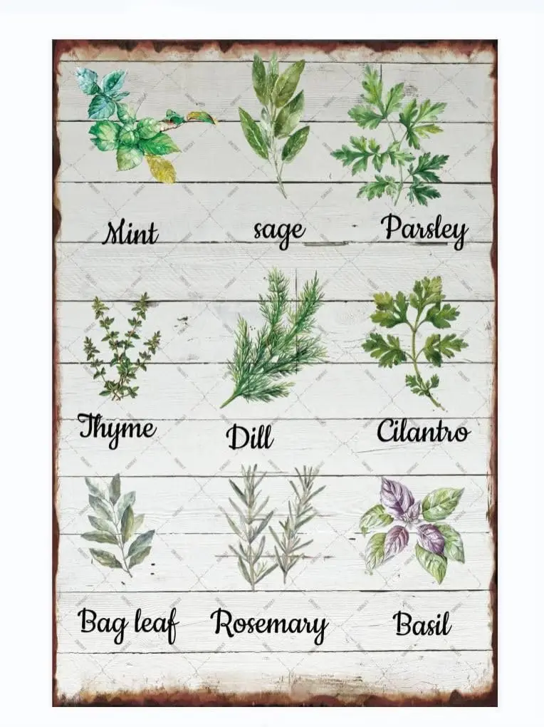 EMOHAT Herbs Sage Green Mint Металлическая жестяная вывеска Medicinal Wall Art Ретро Декор Плакат