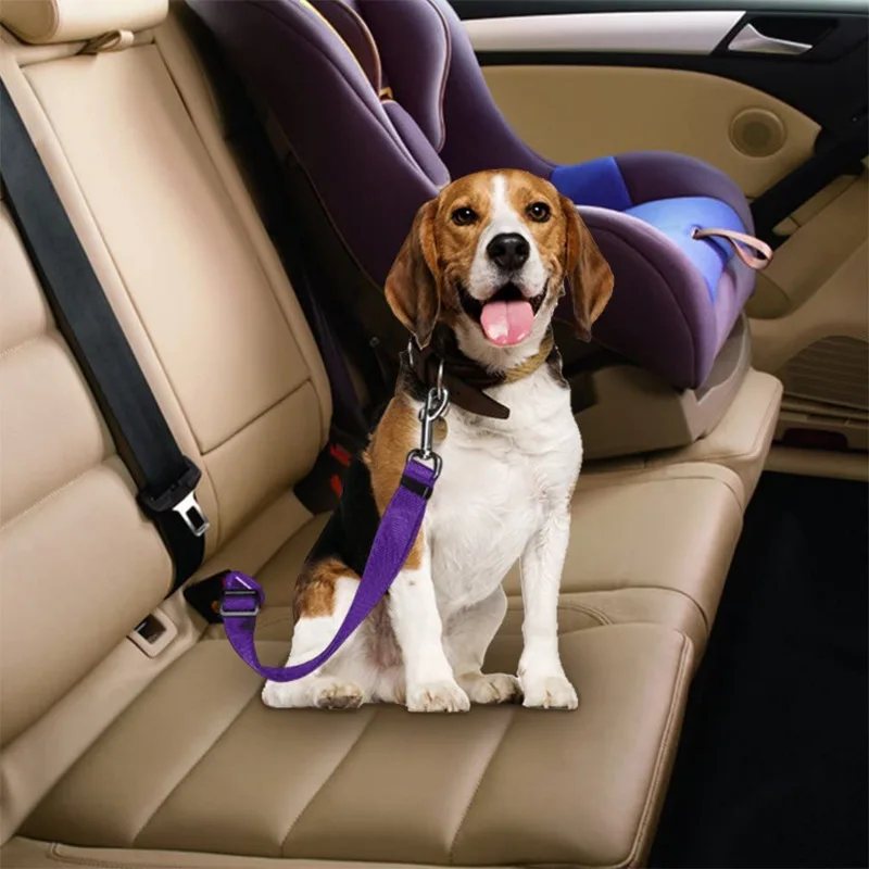 

Pet Car Retractable Seat Belt Dog Leash Pet Supplies Accessories