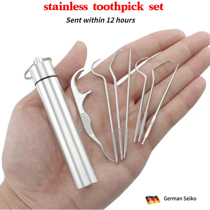 Reusable Toothpick Set Stainless Steel Tooth Flossing Toothpicks Oral Cleaning Tooth Flossing Portable Toothpick Floss Cleaner