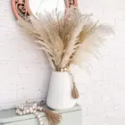 Пампа Декор Причастие фрагмиты пампасная трава большой букет Sechees Bulrush свадебная композиция украшение тростники цветок для дома
