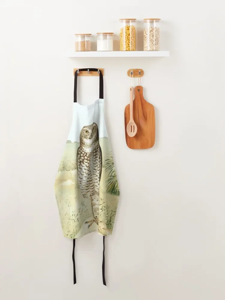 Кухонный Фартук Сова из верхушки Флориды 1884 кухонные принадлежности полезные