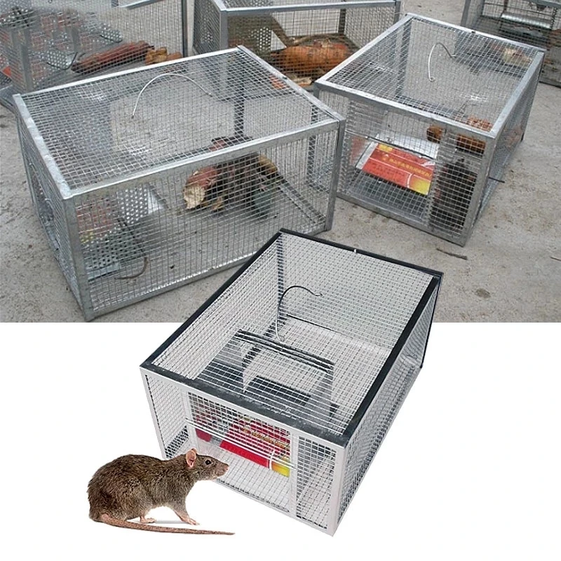 Household Continuous Mousetrap Large Space Automatic Rat Snake Trap Cage Safe And Harmless High Efficiency Mousetrap