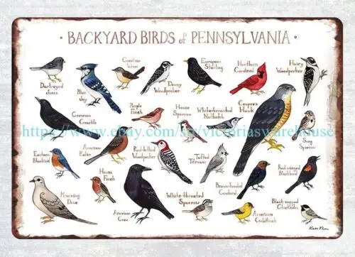 табличка цена Пенсильвании задний двор птицы наблюдение за птицами дикая