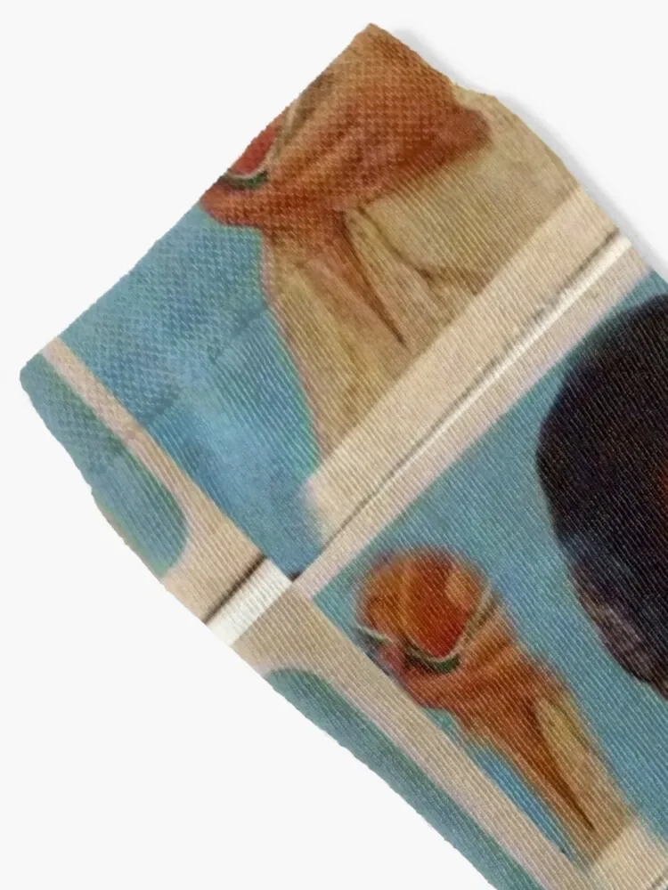 Лоретта Линн Страна C &amp W Дочь угольного шахтера Хиллбилли поп-арт Носки для