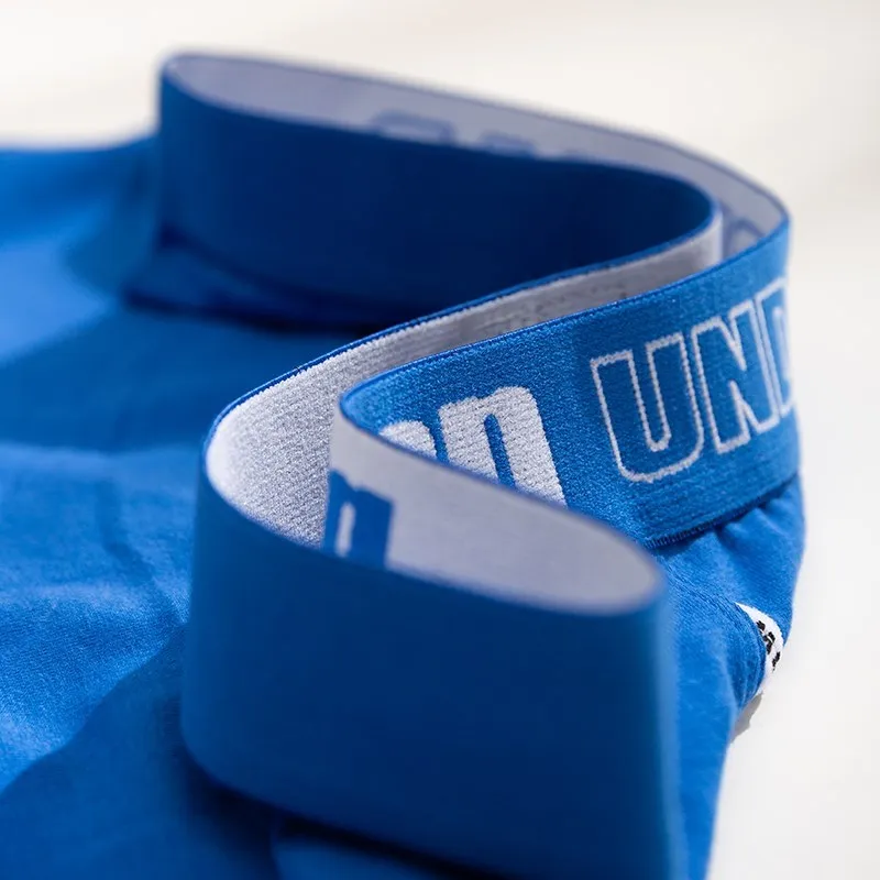 8Pcs Male Panties Cotton Mens Underwear Breathable Man Boxers Solid Underpants Soft Comfortable U Convex Pouch Men Shorts Boxer