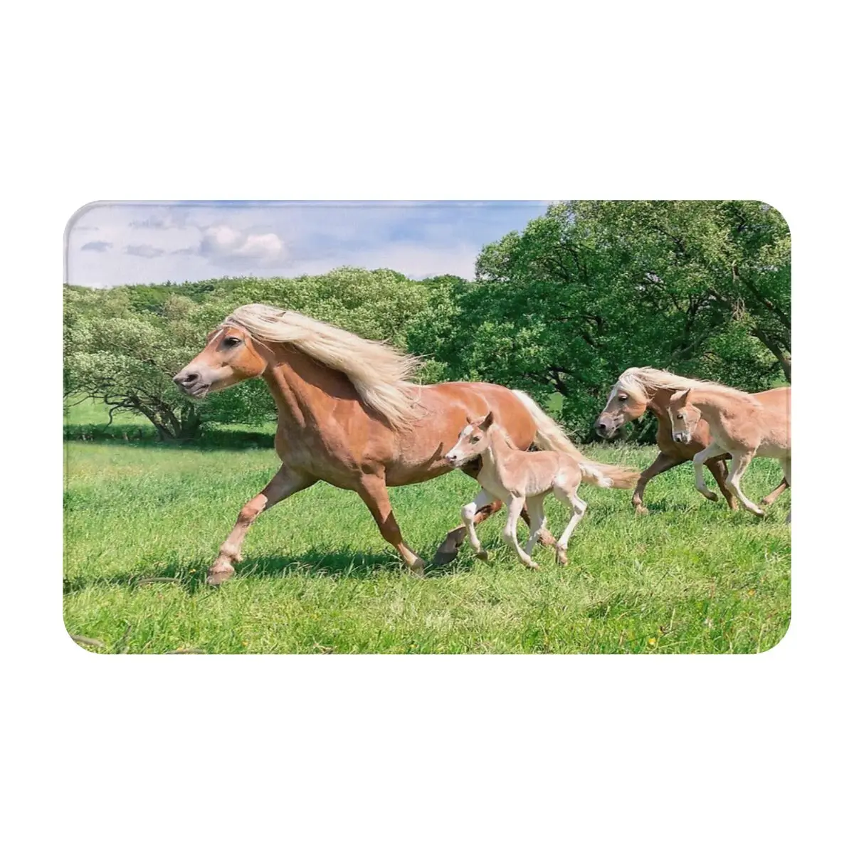 Коврик для ванной с лошадьми, 50 х8 см