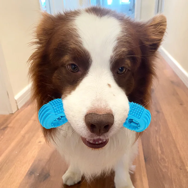 

2022 New Styles Rubber Missing Food Ball 2 Order Dog Toothbrush Toy Pet Chew Tools