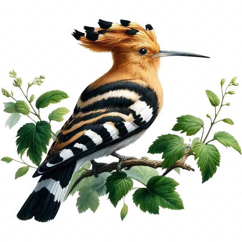 

Наклейки на стену с птицами Hoopoe