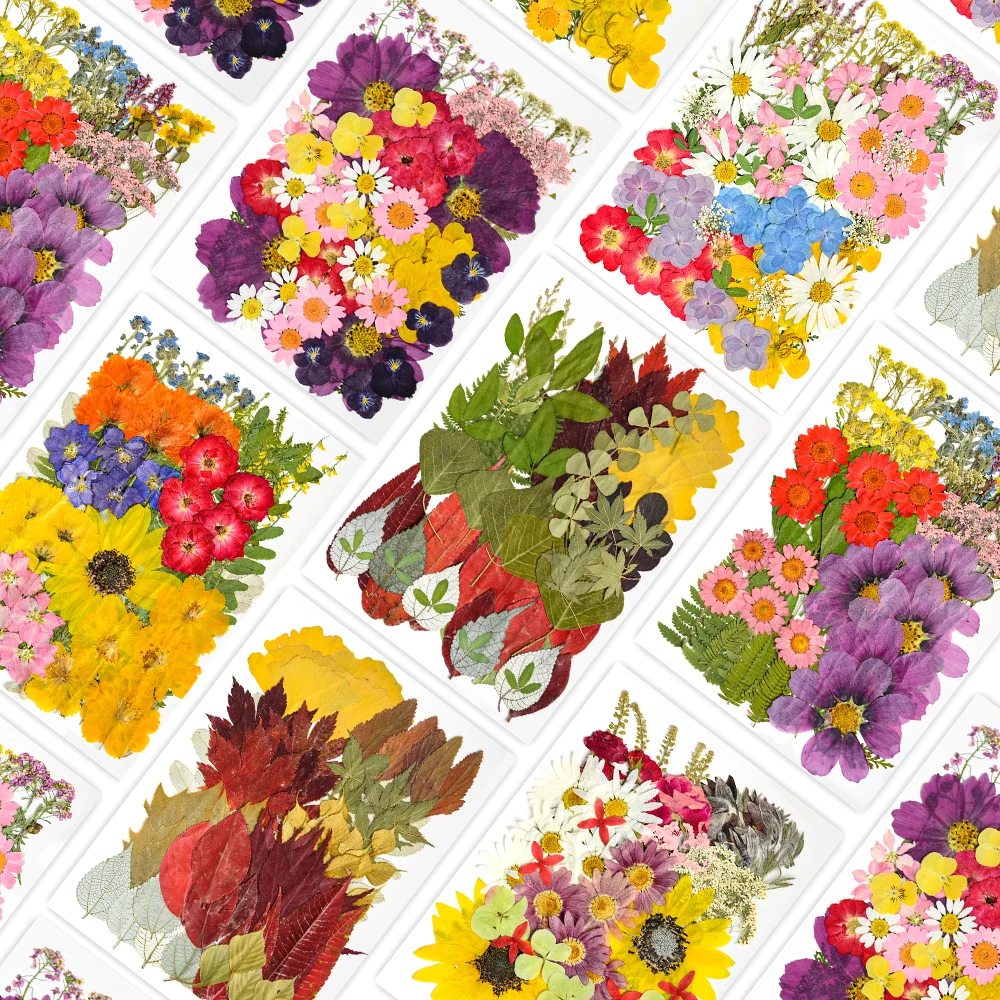 

1Bag Natural Dried Flowers Pressed Flowers Stickers for DIY Phone Case Epoxy Resin Filling Pendant Jewelry Making Crafts Nail