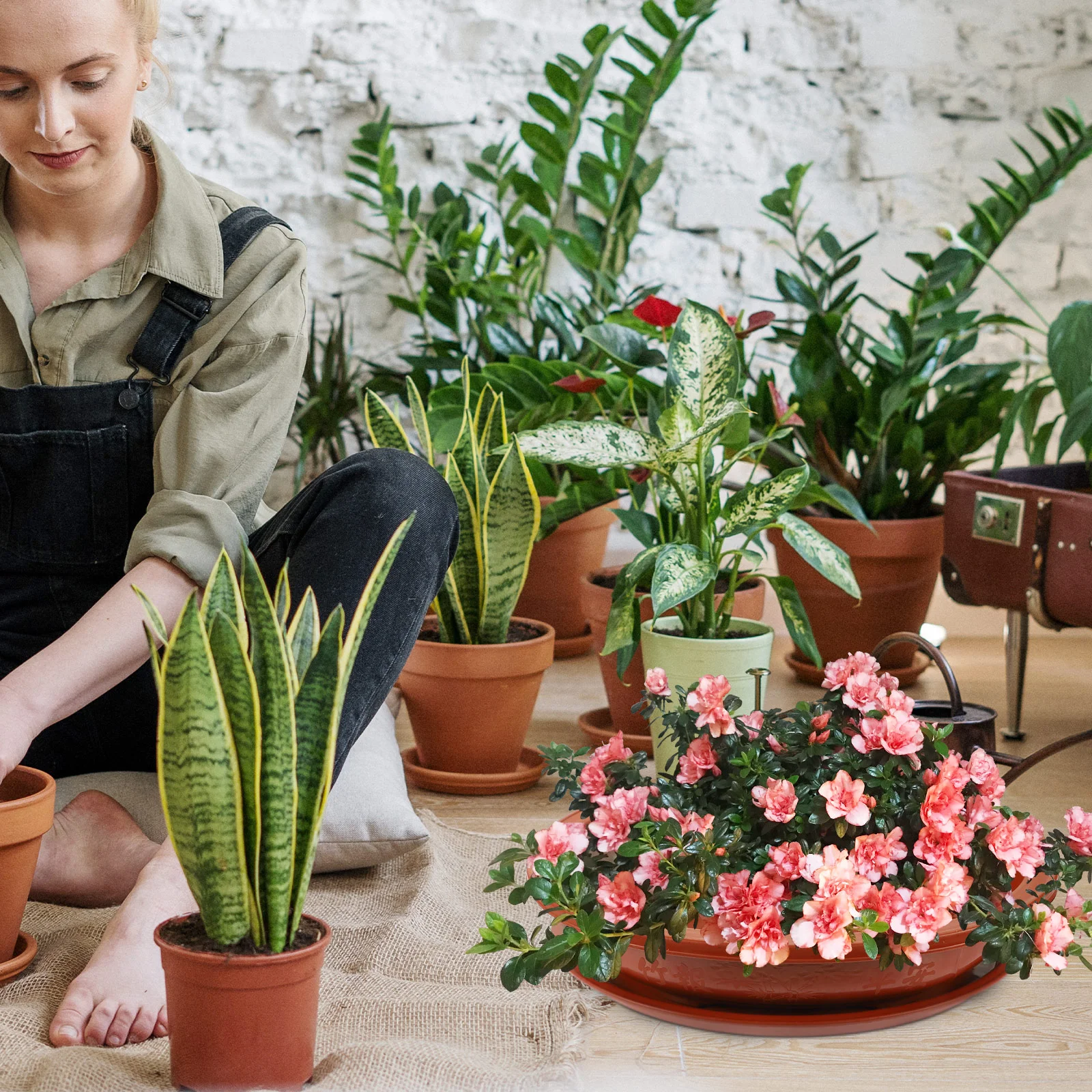

Indoors Outdoors Bonsai Planting Pot Plastic Oval Durable Living Rooms Bedrooms Kitchens Bookshelves Desks Counters