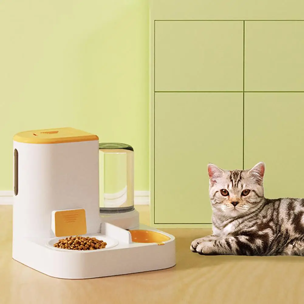 

Cat Bowl Automatic Feeder With Water Dispenser Large Capacity Stainless Steel Cat Bowl Ceramic Pet Food Water Bowl For Dog