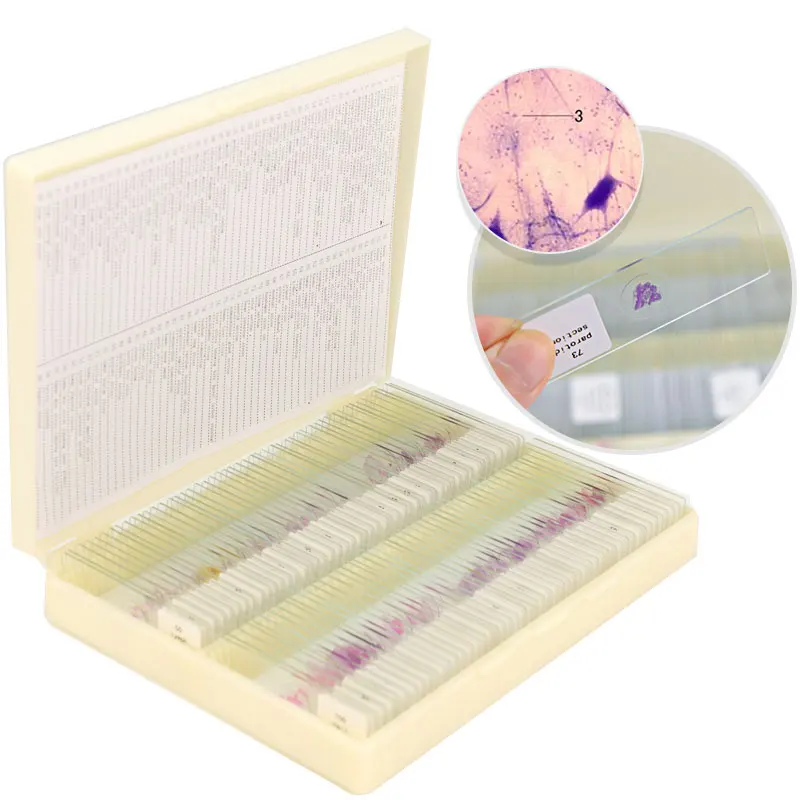 100 PCS Human Tissue Sections Slices Histology Prepared Specimen Microscope Slides with Plastic Box