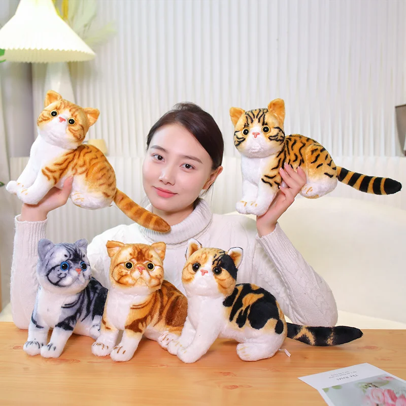 

Симпатичные мягкие реалистичные Коты, плюшевые игрушки, имитация американской милой кошки, домашний декор, подарок для девочек на день рождения