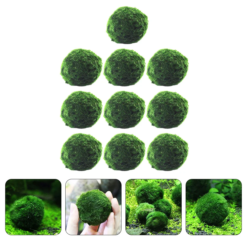 10 шт. шарик для водорослей в аквариуме украшение аквариума гидропонные шары