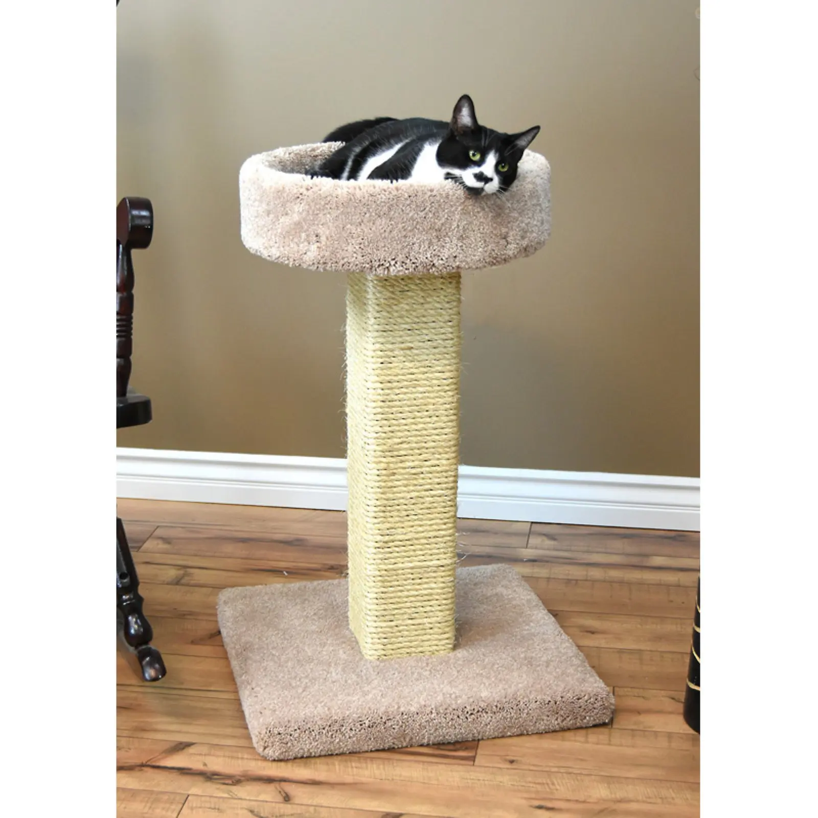 

32 in. Solid Wood Large Cat Scratching Post and Sleeper Tree