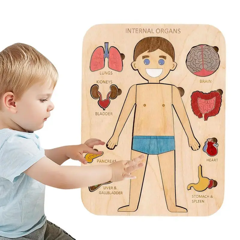 

Human Body Puzzle Wooden Montessori Educational Toys Boys Girls Anatomy Play Set Jigsaw Board Children's Birthday Gifts