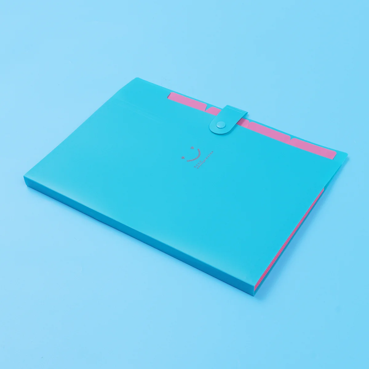 

File Folders Document Wallet Envelopes Organizer Accordion Letter Holder Paper Storage Pouch Expanding Pocket Folder Expandable