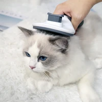 dog brush one click hair removal depilatory brush cat massage comb for shedding grooming long or short hair pet supplies