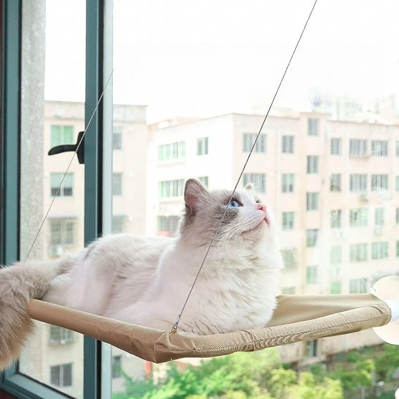 

Pet Cat Hammock Aerial Cats Bed House Hanging Cat Bed Kitten Climbing Frame Sunny Window Seat Nest Bearing 20kg Pet Accessories