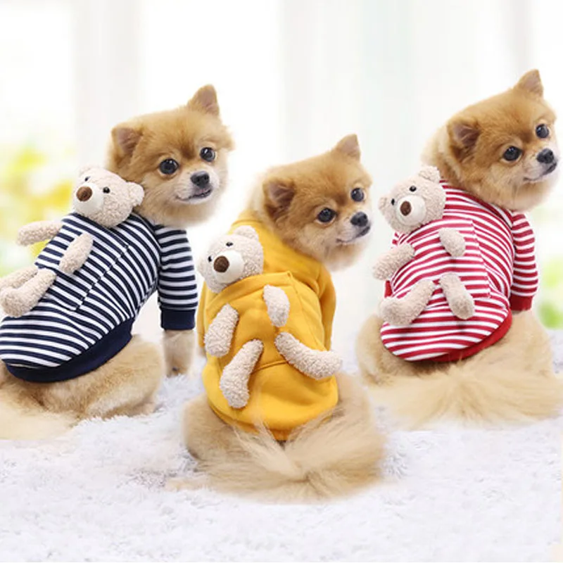 Dog Cat Clothes for Small Dog Autumn Winter Stripe Sweater Pocket Clothes with Teddy Bear Toy for Chihuahua Shih Tzu Sweatshirt