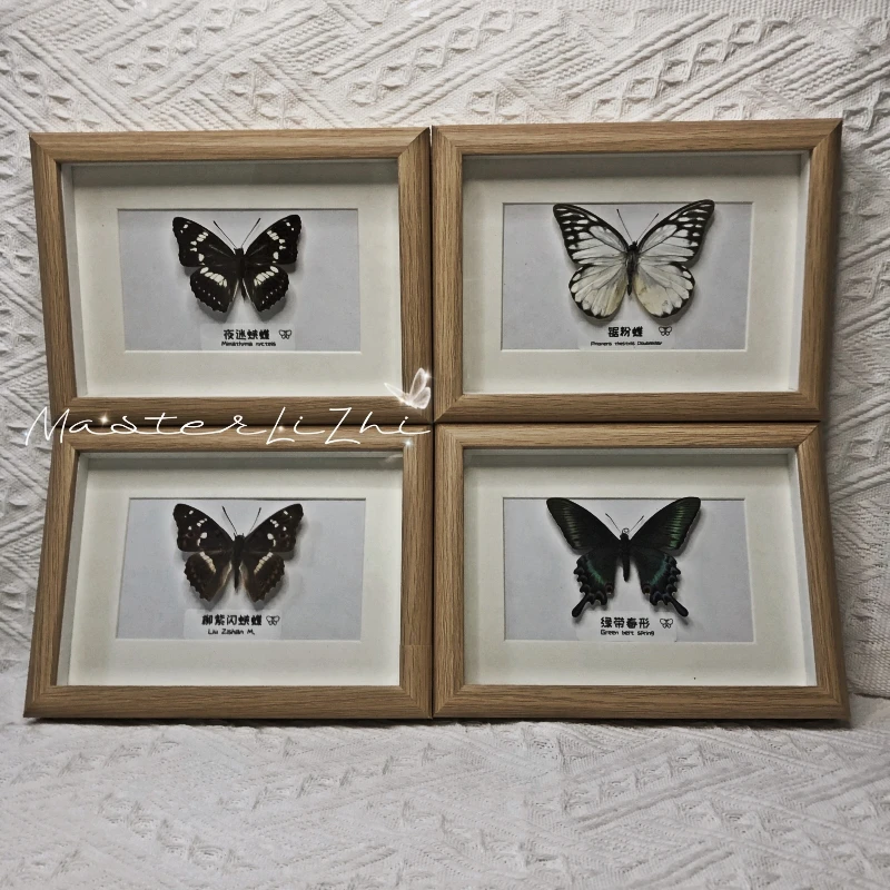 

Real Butterfly Specimens Insect Figurines Production Charm Home Decoration Accessories for Living Room Collection Art Gift