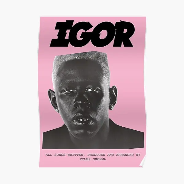 

Художественный постер Igor, художественное украшение, забавная домашняя роспись, Декор, винтажный современный принт, картина для комнаты, без...