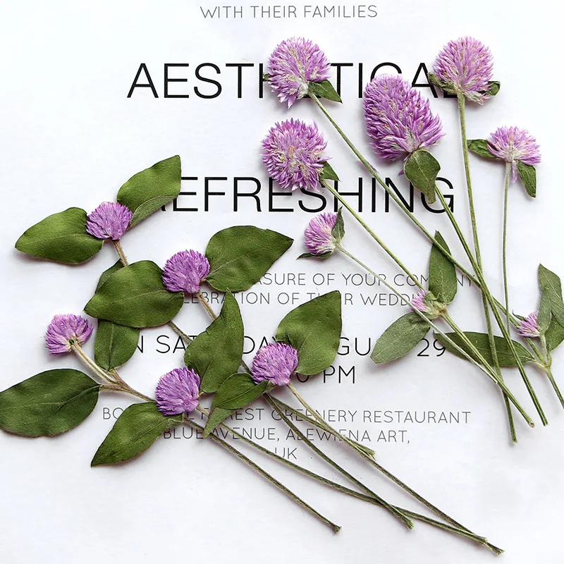 6-15 см/12 шт. натуральная прессованная Цветочная ветка гомфрены DIY тисненый клей