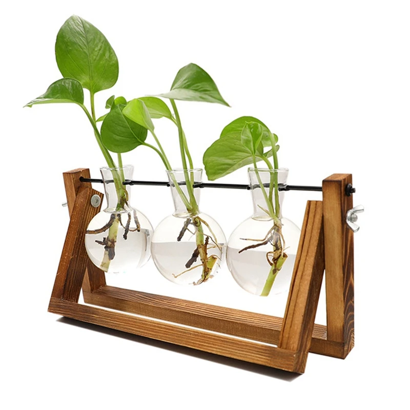 

Plant Terrarium With Wooden Stand, Plant Propagation Stations Stand, For Hydroponics Plants Accessories Home Decor