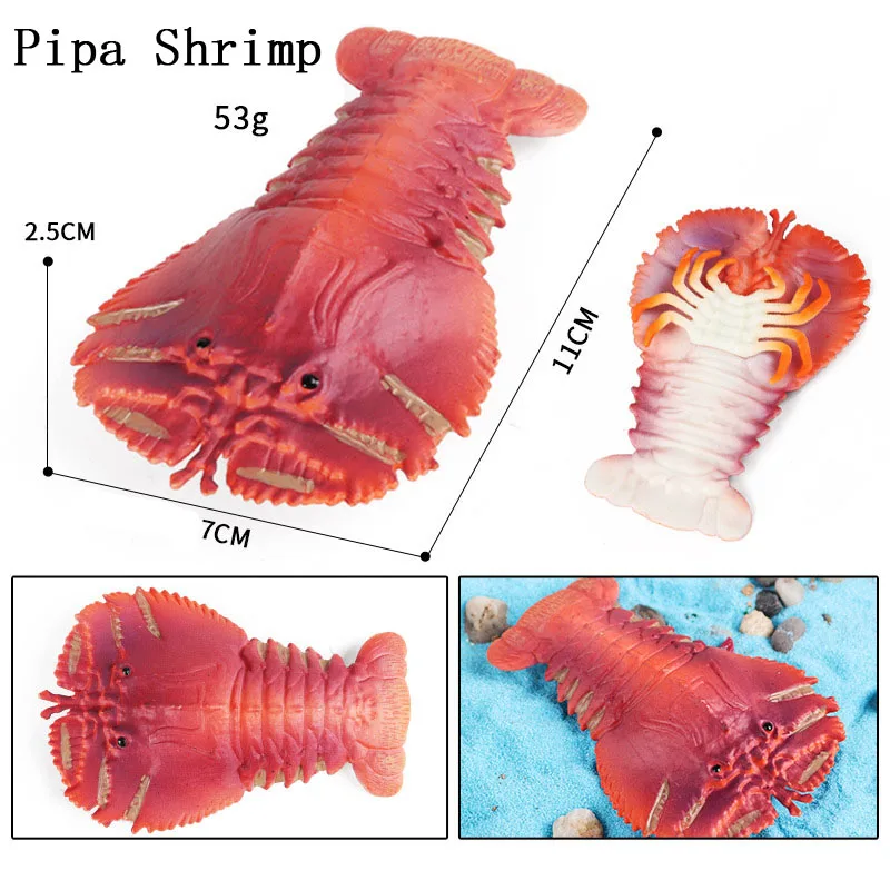 

Children's Solid Simulation Of Marine Animal Toy Shrimp Model Lute Shrimp Nine-toothed Fan Shrimp Shrimp Steak Cognitive Gifts