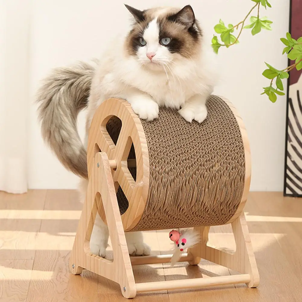 

Cat Scratching Ball Toy Interactive Grinding Paws Ball Wear-resistant Scratch-resistant Furniture Protector Pet Supplies