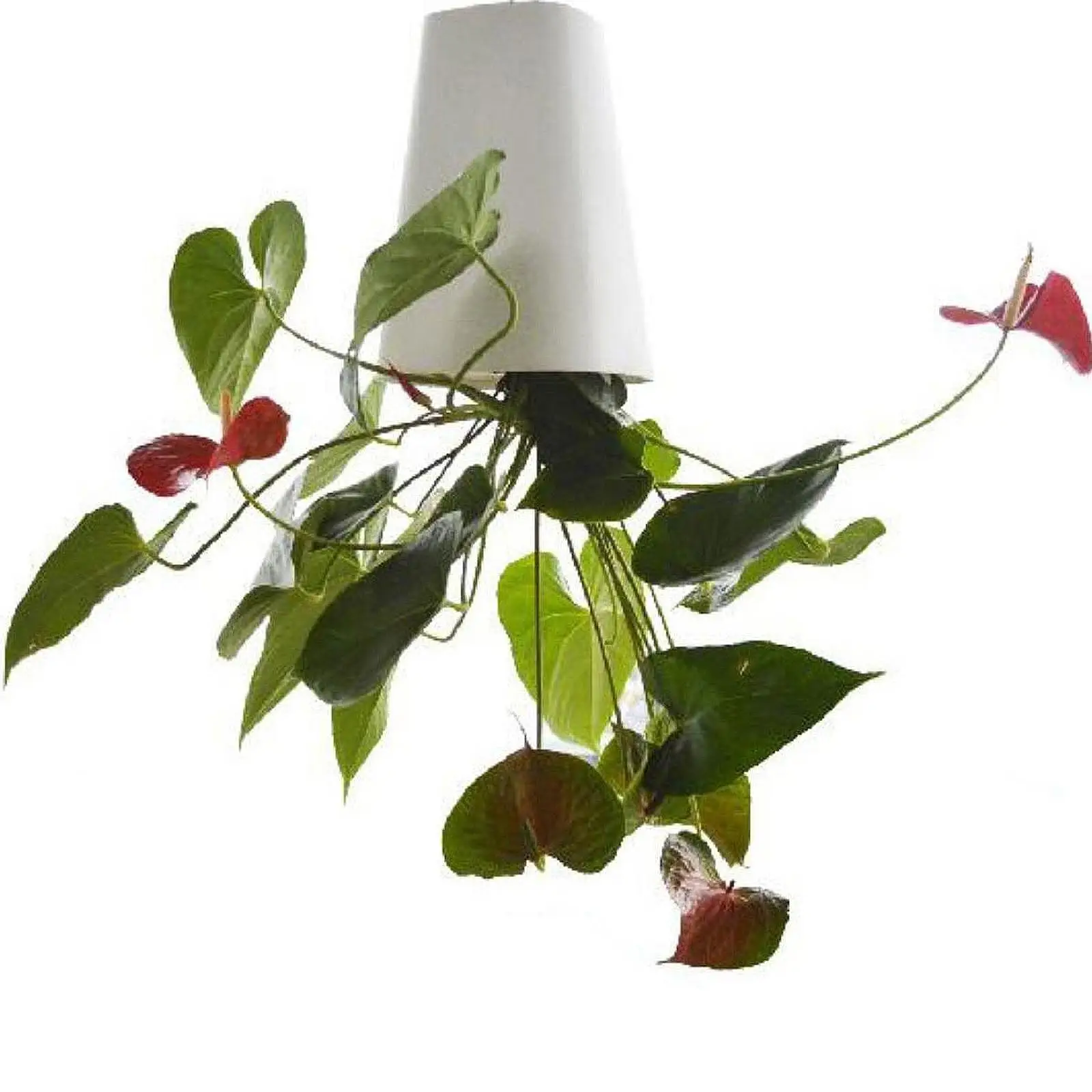 

Подвесной пластиковый цветочный горшок MagiDeal