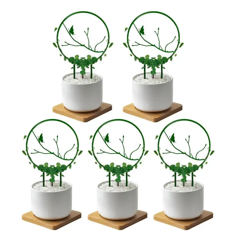 

Houseplant Trellis Attractive Climbing Plant Trellis 5pcs Garden Trellis Plant Support Plant Climbing Frame For Climbing Plants