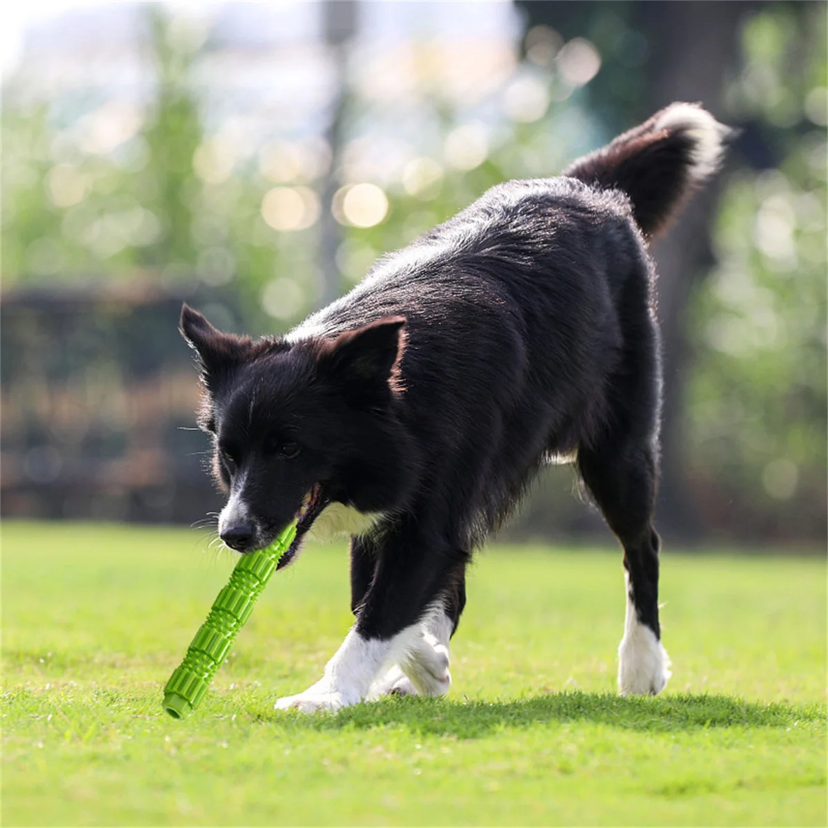 

Мягкие резиновые зубные палочки для домашних питомцев, зубная щетка для чистки зубов, массажная маленькая зубная щетка для маленьких домашних животных, товары для домашних питомцев