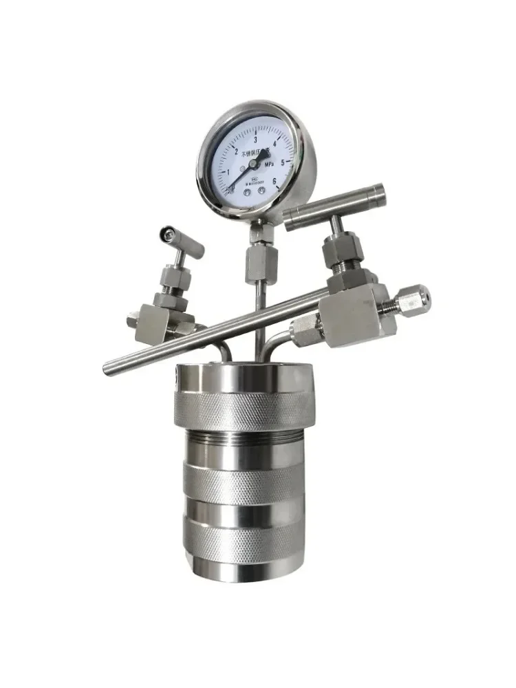 Гидротермальный синтез Автоклав Реакторный сосуд + манометр на входе 100 мл 6 МПа