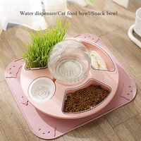 automatic food dispenser cat feed box for kitten automatic drinking bowl multifunctional feeding bowl cat drinking fountain