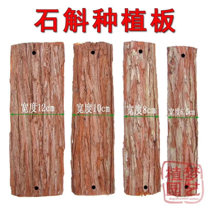 

13-16 Mm Dendrobium Planting Board, Chinese Fir Board with Bark, Butterfly Orchid, Chinese Fir Wall Hanging Board Concrete Mold