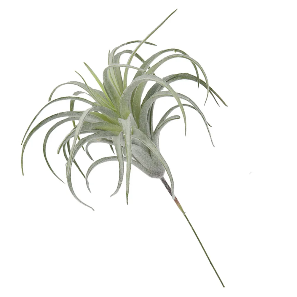 

Artificial Tillandsia Faux Bromeliad Airsucculentsphoto Decor Hanging Simulation Bromeliads Arrangement Flocked Pineapple