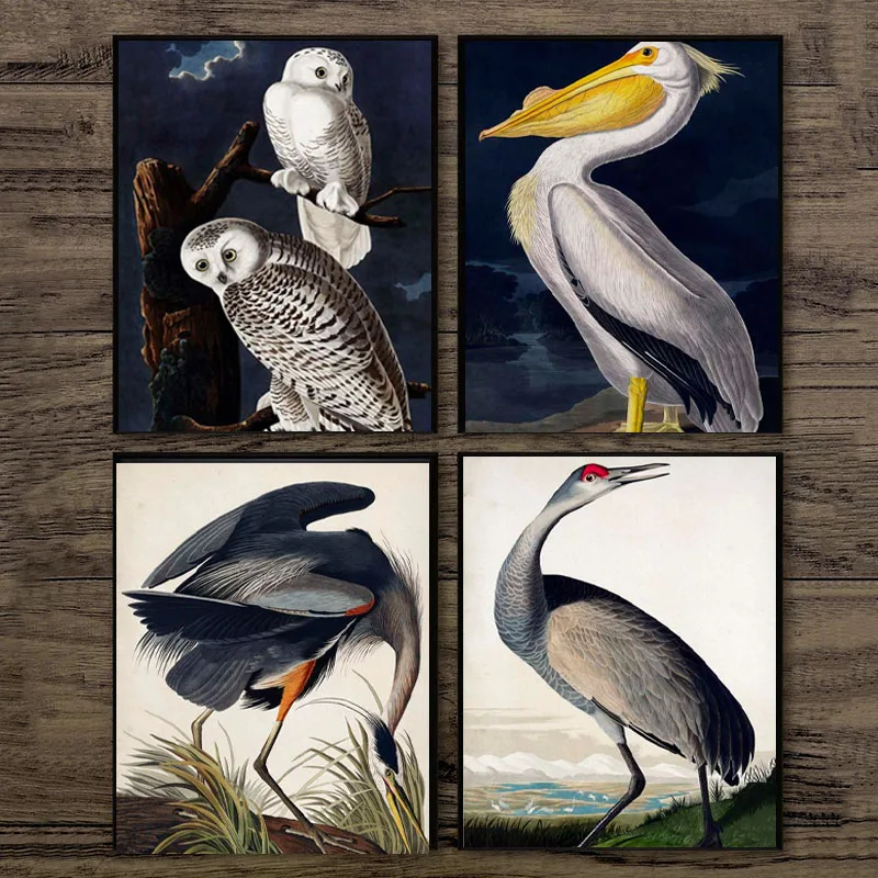 Винтажная птица Audubon птица Холст Картина Розовый фламинго Снежная Сова Пеликан голубой Герон белый Egret Современное украшение для стен