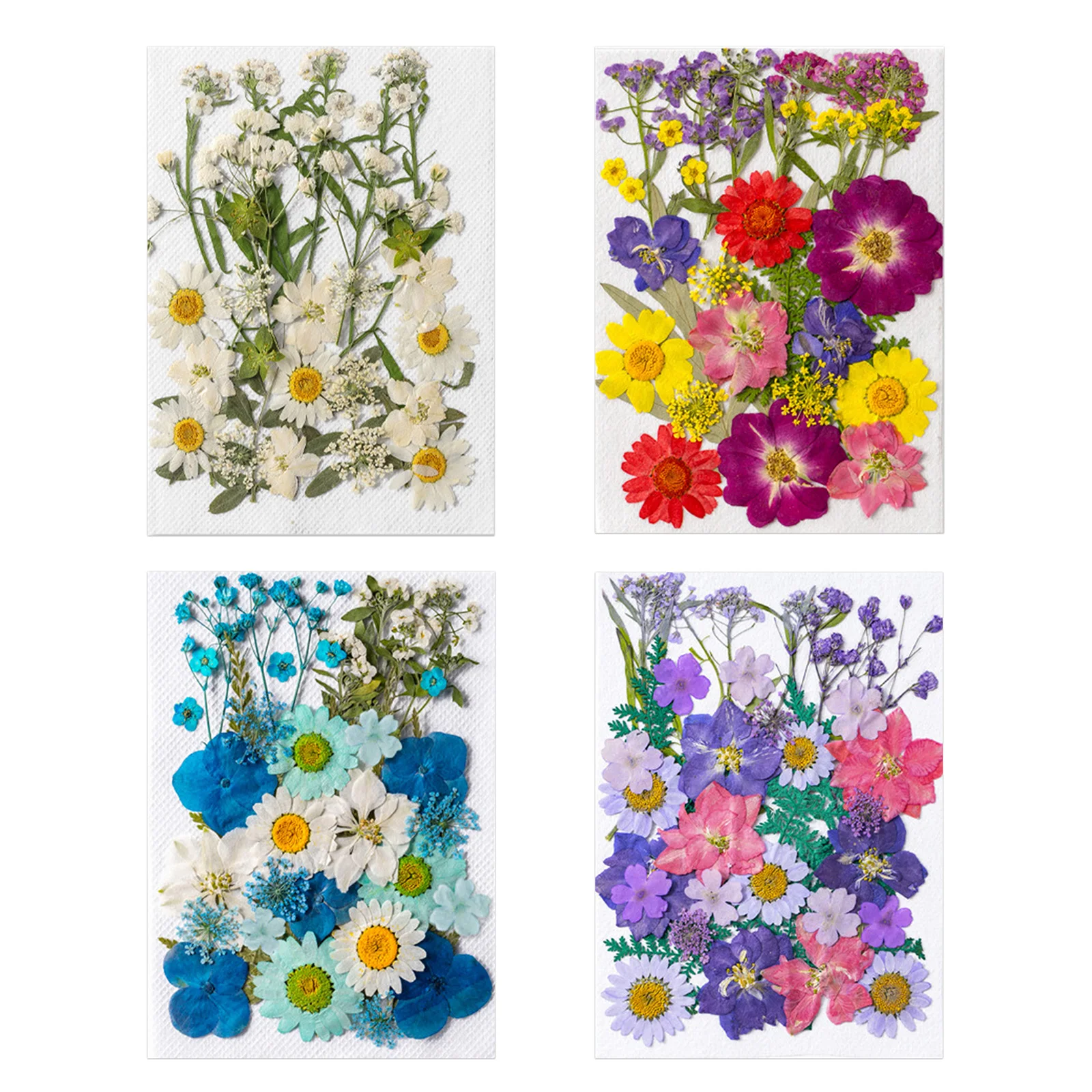 

Dried Flower Material Package Real Pressed Dry Flowers & Leaves Kit Decors