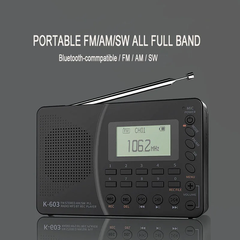 

Portable Radio FM AM SW Radio Receiver DSP Shortwave FM Speaker Support TF Card USB REC Recorder Bluetooth-compatible MP3 Player
