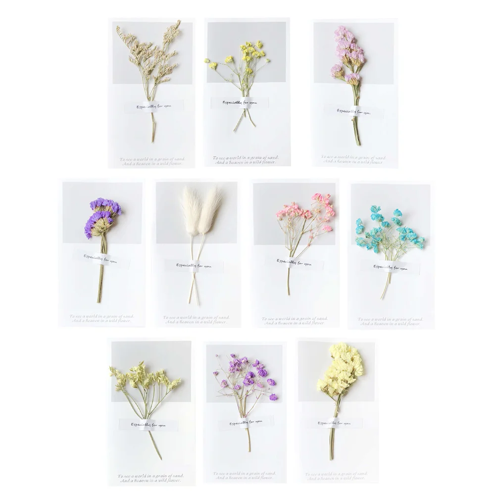 

12pcs Greeting Dried Flower Creative Beautiful Greeting Gift for Valentine's Day Birthday
